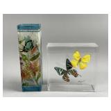 Signed Butterfly Display Shadow Box & More