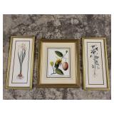 (3) Framed/Signed Botanical Prints
