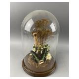 Vintage Taxidermy Butterfly Glass Dome