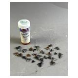 Lot of Shark Teeth