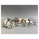 Lot of Fossils, Seashells, Rocks, & More