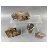 Petrified Wood Collection