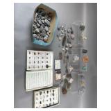 Large Lot of Fossils, Rocks & Minerals