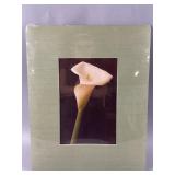 Signed Lithograph Solo Flower