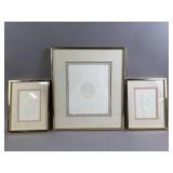 Framed Seashell Wall Prints
