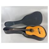 Salvador Ibanez 6 String Acoustic Guitar & Case