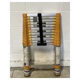 Xtend & Climb 770P Telescoping Ladder