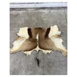 Springbok Hide