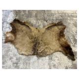 Vintage Taxidermy Rug