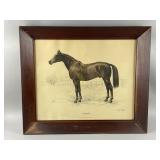 Framed Lithograph "Crusader" by F. H. Stokes