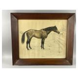 Framed/Signed Lithograph "Hoop Jr" by F. H. Stokes
