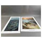 Signed & # David Bollman Fish Prints