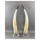 1970ï¿½s Steer Horn Pair on Lucite Base
