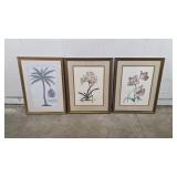 Vintage Framed Prints Various Artists