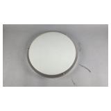 Flush Mount Ceiling Light