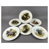 World Wildlife Fund Plates Design By David Shepard