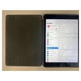 iPad Air 2 in Silver