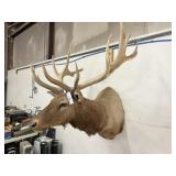 ELK MOUNT