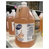 1 Gal. of Dial Hair & Body Wash