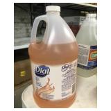 1 Gal. of Dial Hair & Body Wash