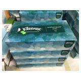 4 pack of 100 ct. Kleenex Facial Tissues