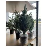 3 ct. of Small Faux Evergreen Trees