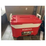 Igloo Cooler 50 qt.
