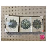 3 pc. Canvas Set of Succulents - 8 in. x 10 in.
