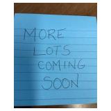 More Lots Coming Soon