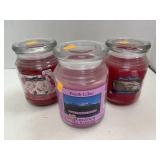 3 - 20oz jar candles.  3 scents.