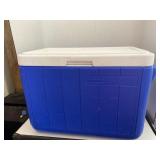 Coleman Cooler w/Ice Packs