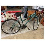 Mt. Fury Mountain Bike