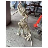 Movable Dog Skeleton