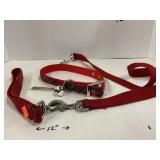 Leash & Holiday Collar.
