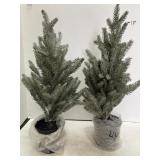 2 Flocked Balsam Trees in metal pots.