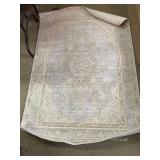 Momeni 47 x 69 in Area Rug