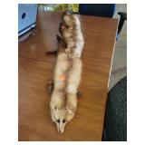 3 Minks Connected to Make Scarf ??