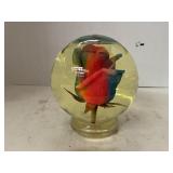 Synthetic Rainbow Rose in Globe & Liquid