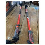Expert Performance Walking Poles