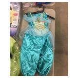 Disney Princess Halloween Costume