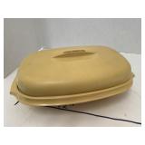 Tupperware Bented Carrier