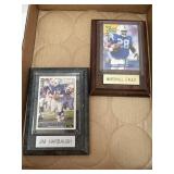 2 framed Collectors Football Cards. Indianapolis
