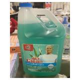 1 Gallon Mr. Clean