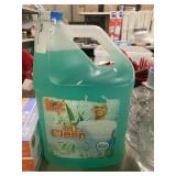 1 Gallon Mr. Clean