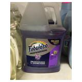 1 Bottle Fabuloso Professional All Purpose