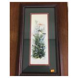 Framed Hummingbird Picture Approximately 20x12