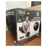 12lb Everlast Weight Ball