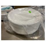 1 Pack - Plastic Plates