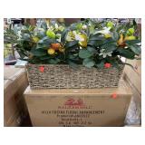 Balsam Hill Floral Arrangement