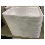 Styrofoam Trays (app 60)